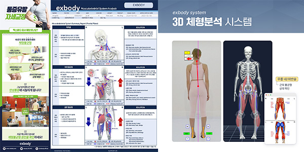 AI 체형분석 이미지